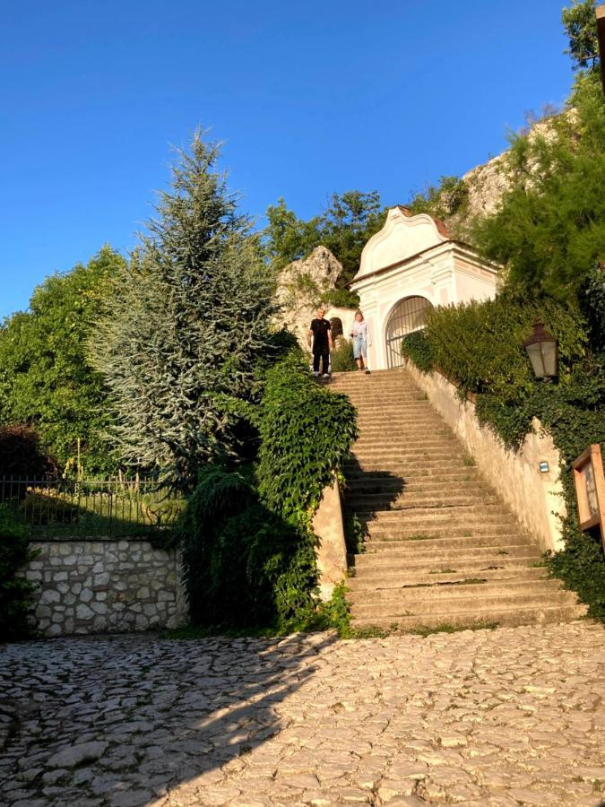 Apartmán Útulný apartmán s výhledem na zámek Mikulov Exteriér fotografie